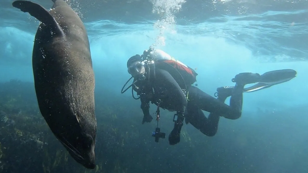 Scuba Diving Sydney
