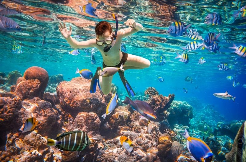 Snorkeling Sharm El Sheikh