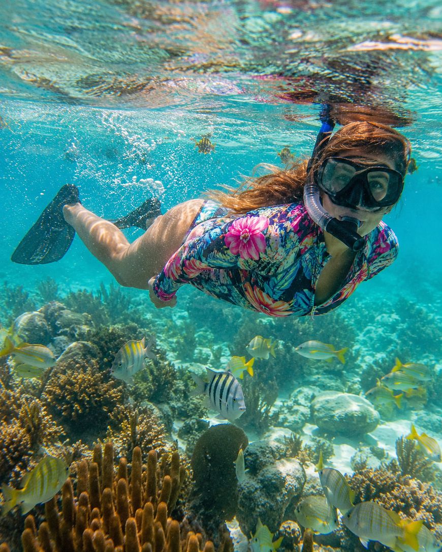 Your experience at Bimini Snorkeling