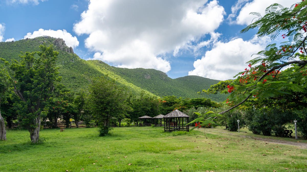 Emilio Wilson Park