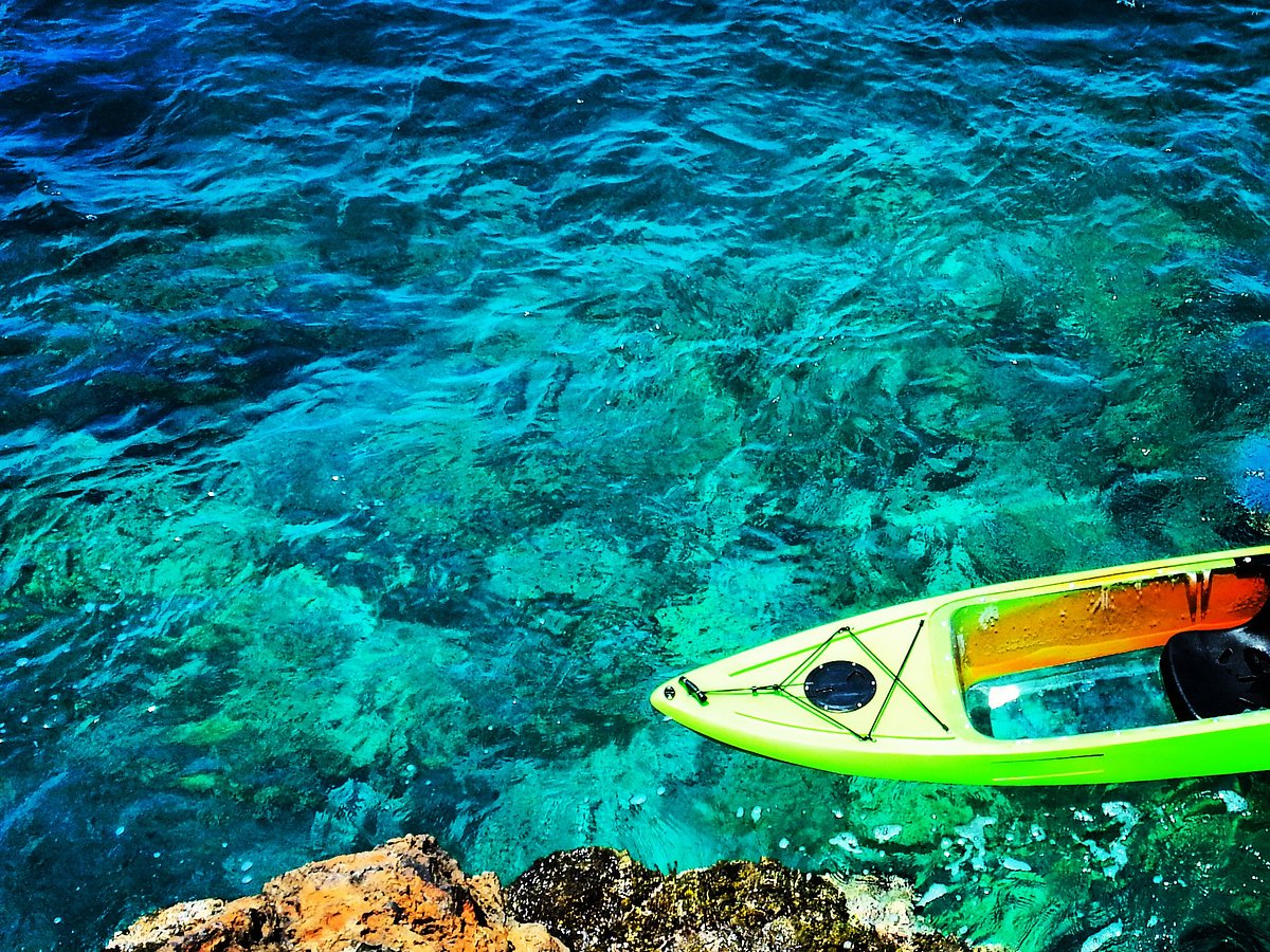 Clear Kayak Maui at Turtle Town