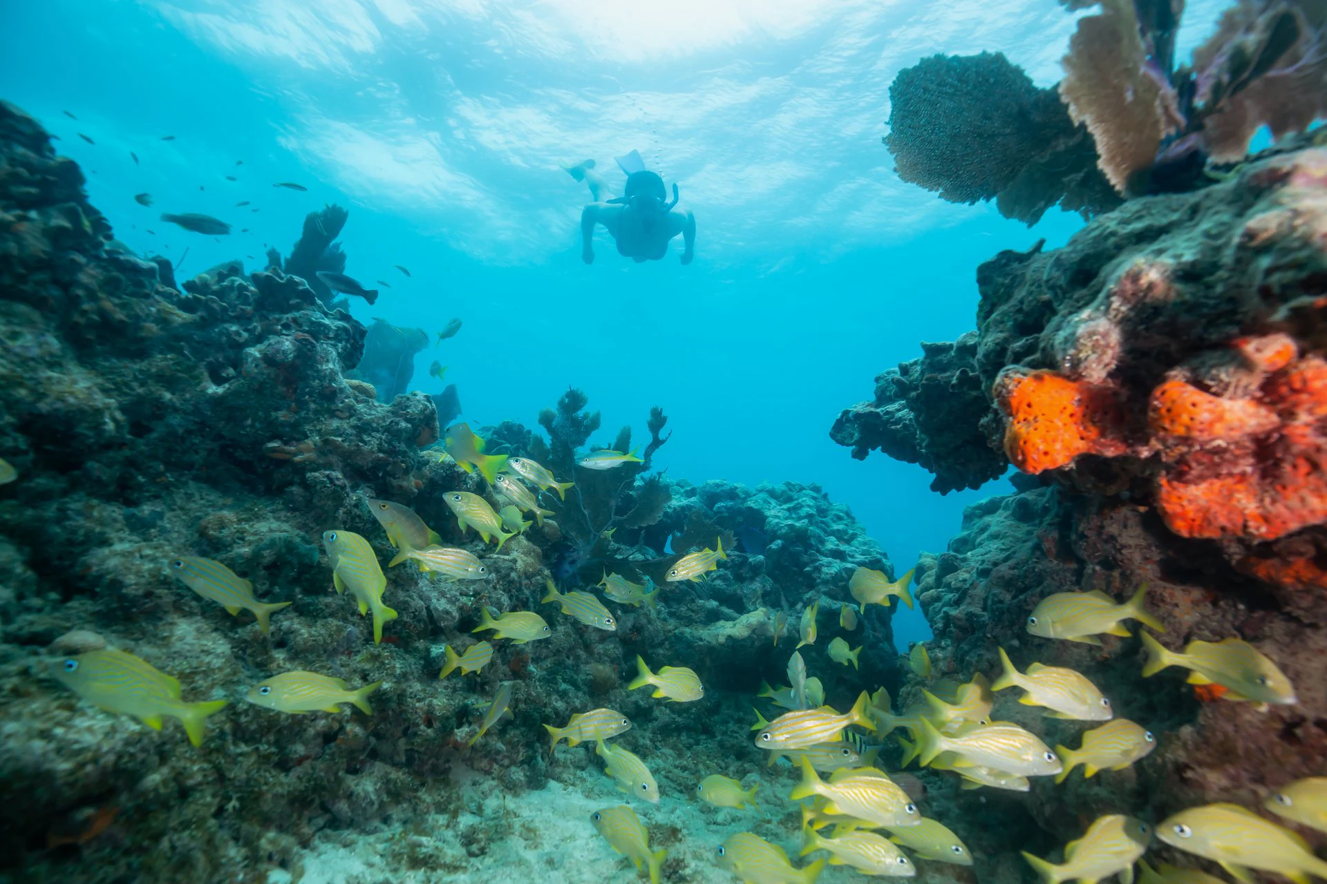 Your experience at Sardinia Snorkeling