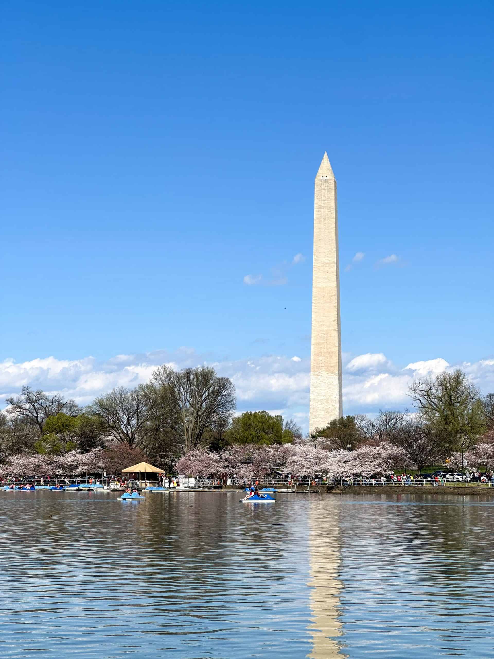Your experience at Dc Boat Tours