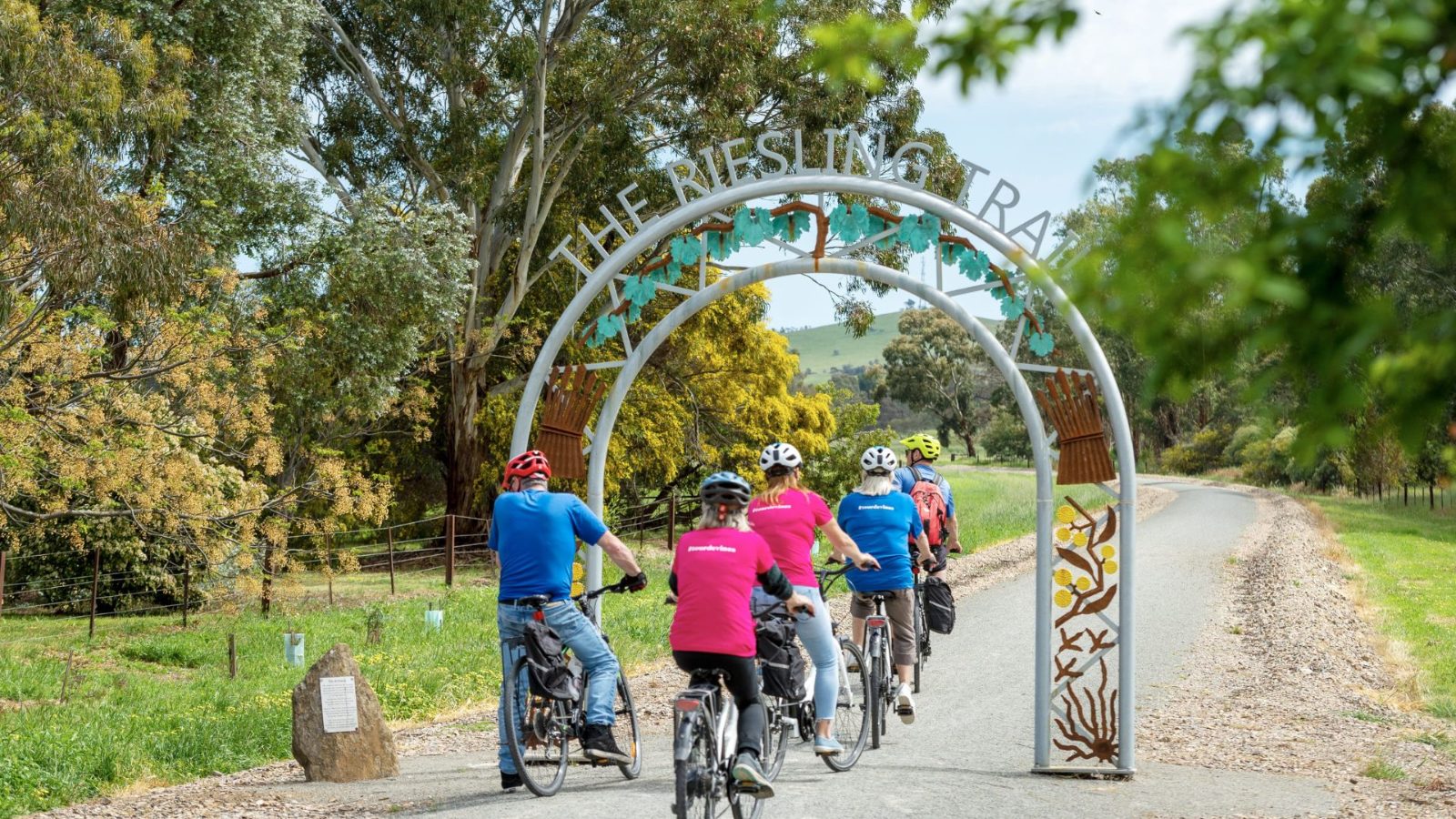 Your experience at Clare Valley Tours