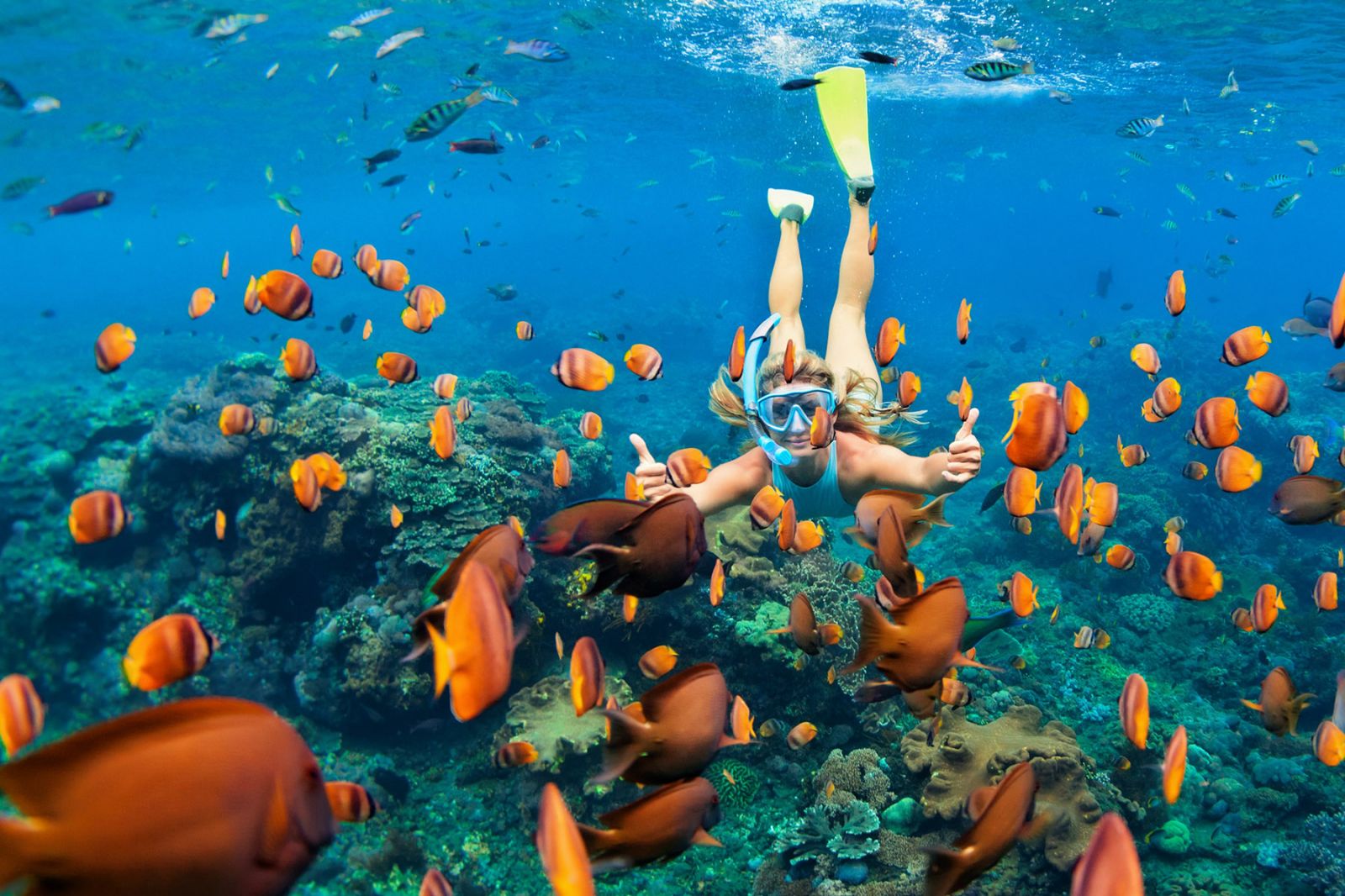 Menjangan Kecil Island