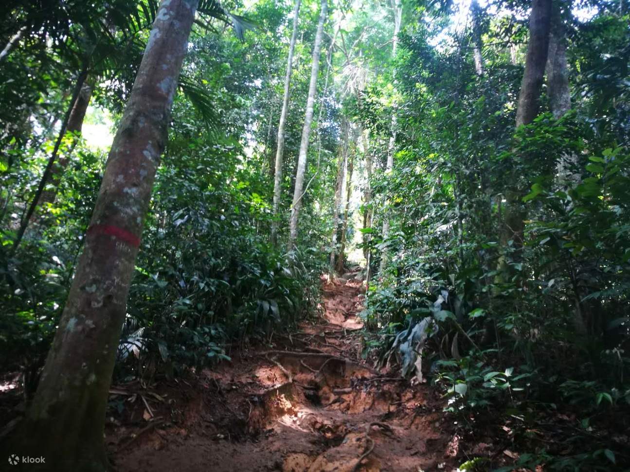 Gaya Island