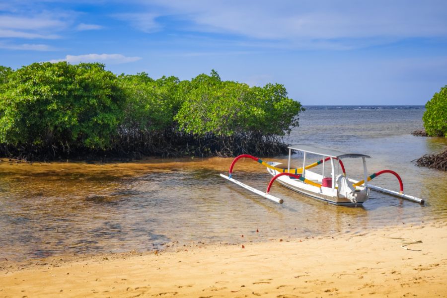 Mangrove Point