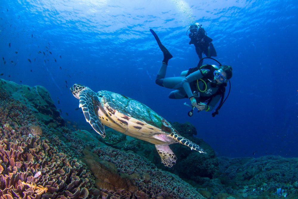 Scuba Diving Nusa Lembongan