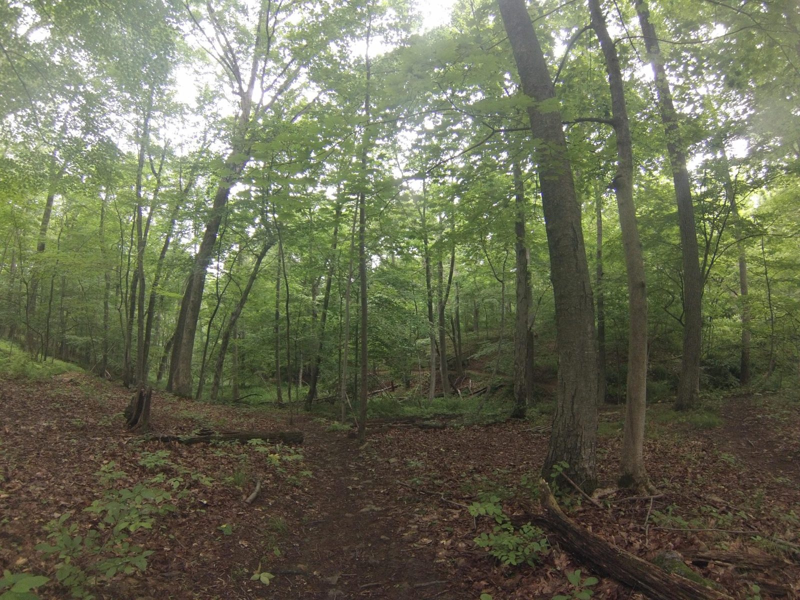 Coral Harbour Trails