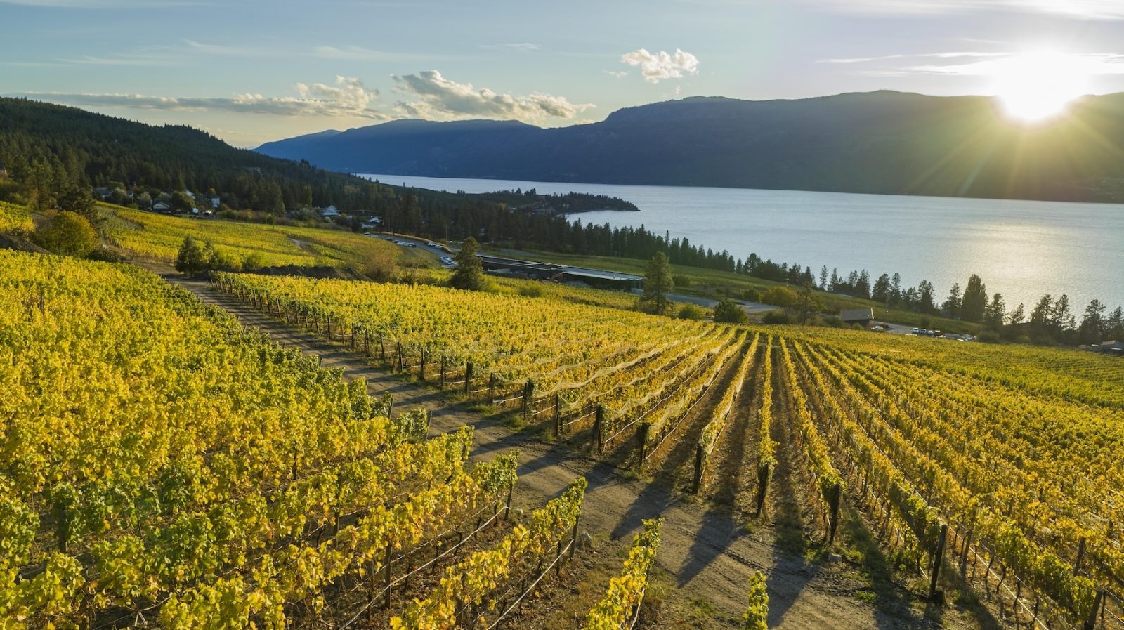 Summerland Wine Tour