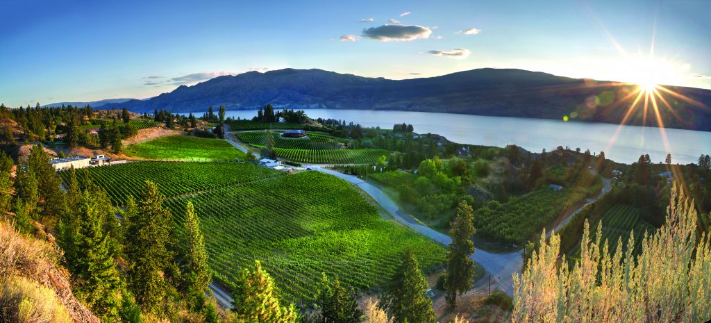 Summerland Wine Tour Through Okanagan Vineyards