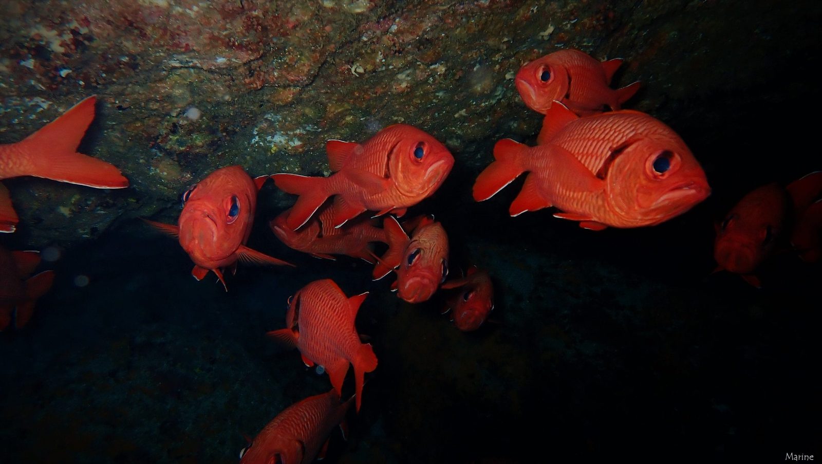 El Clásico