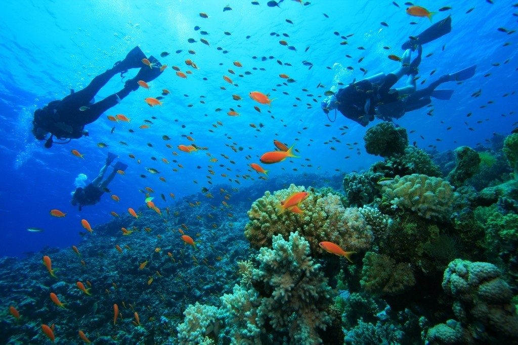 Guanacaste Scuba Diving