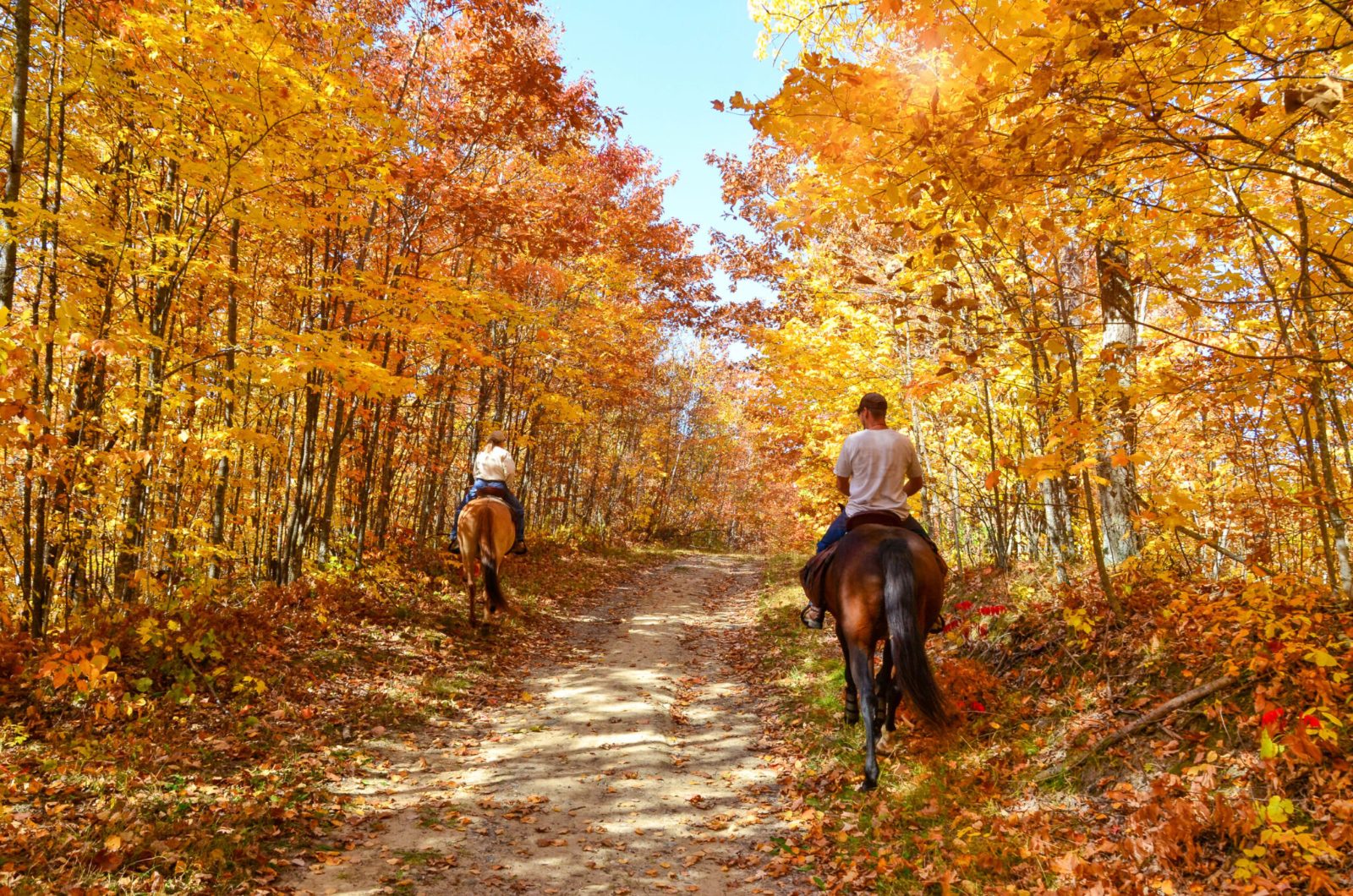 Historical Logging Routes
