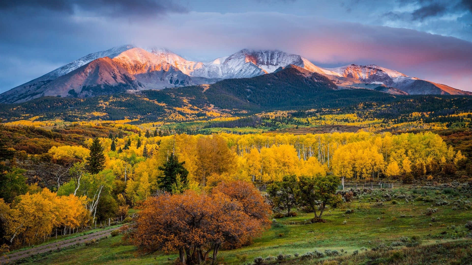 Backcountry Vistas