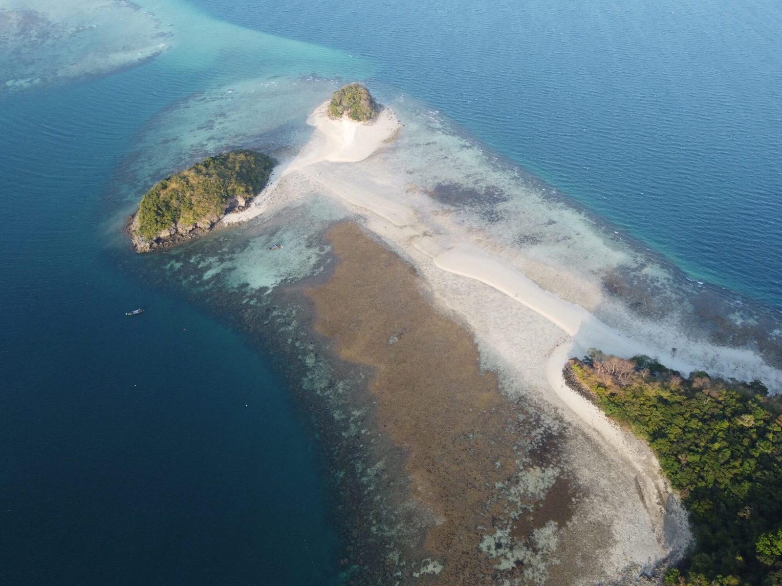 Your experience at Krabi Island Tour