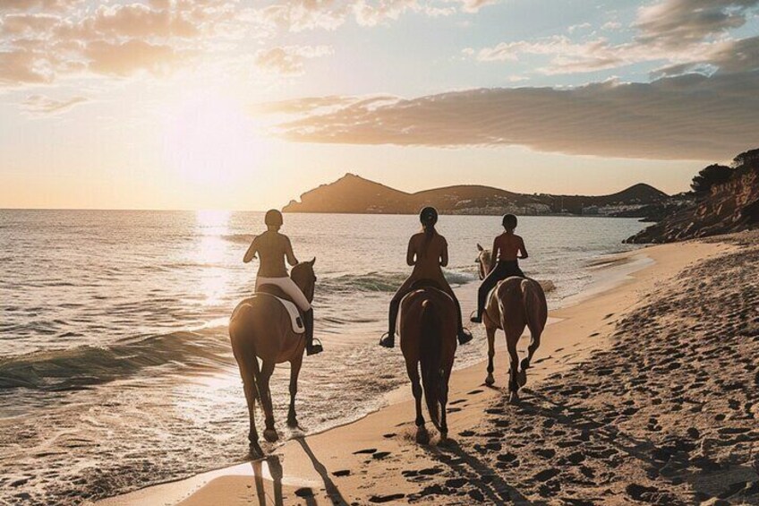Horse Riding Ibiza