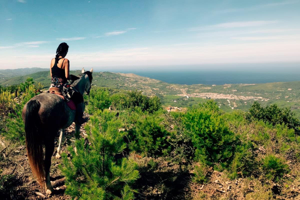 Horse Riding Ibiza Through Coastal Trails