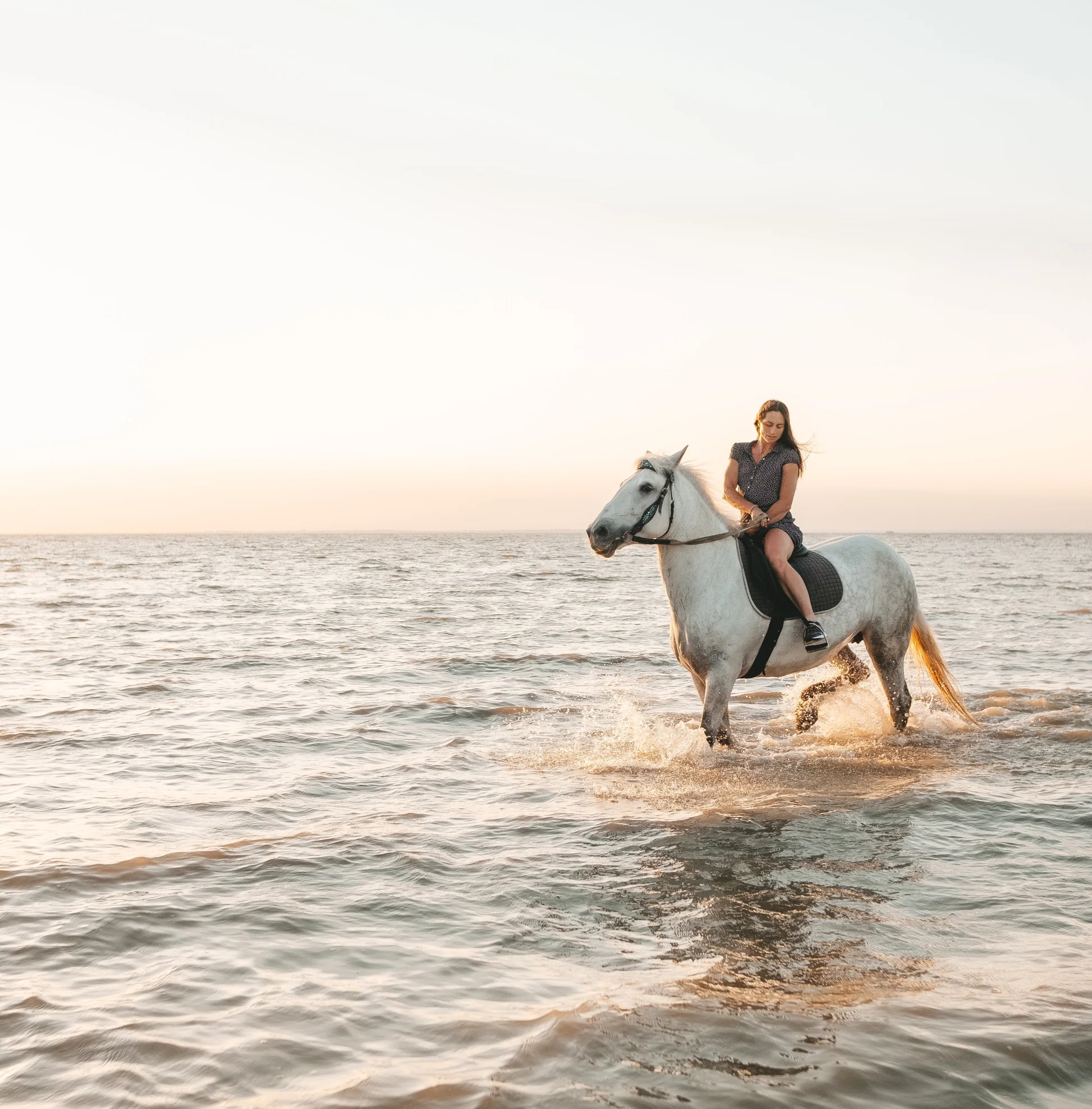 Your experience at Horse Riding Ibiza