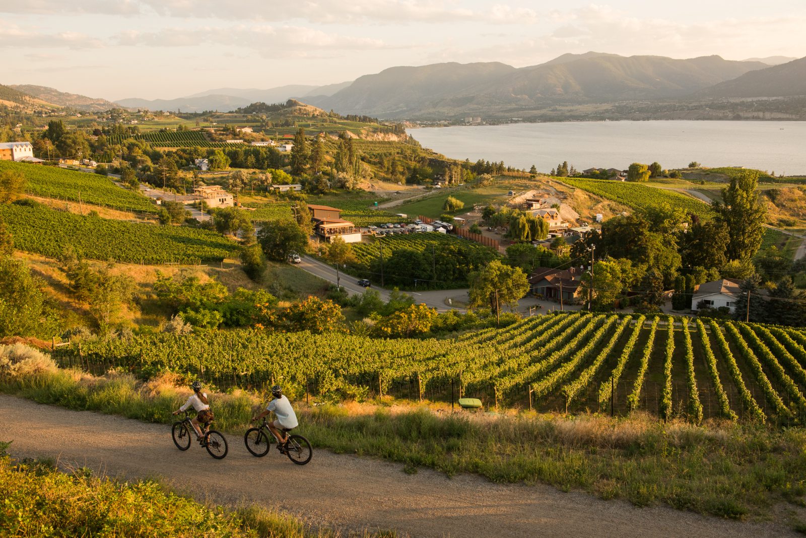 Wine Bike Tour Kelowna Overview