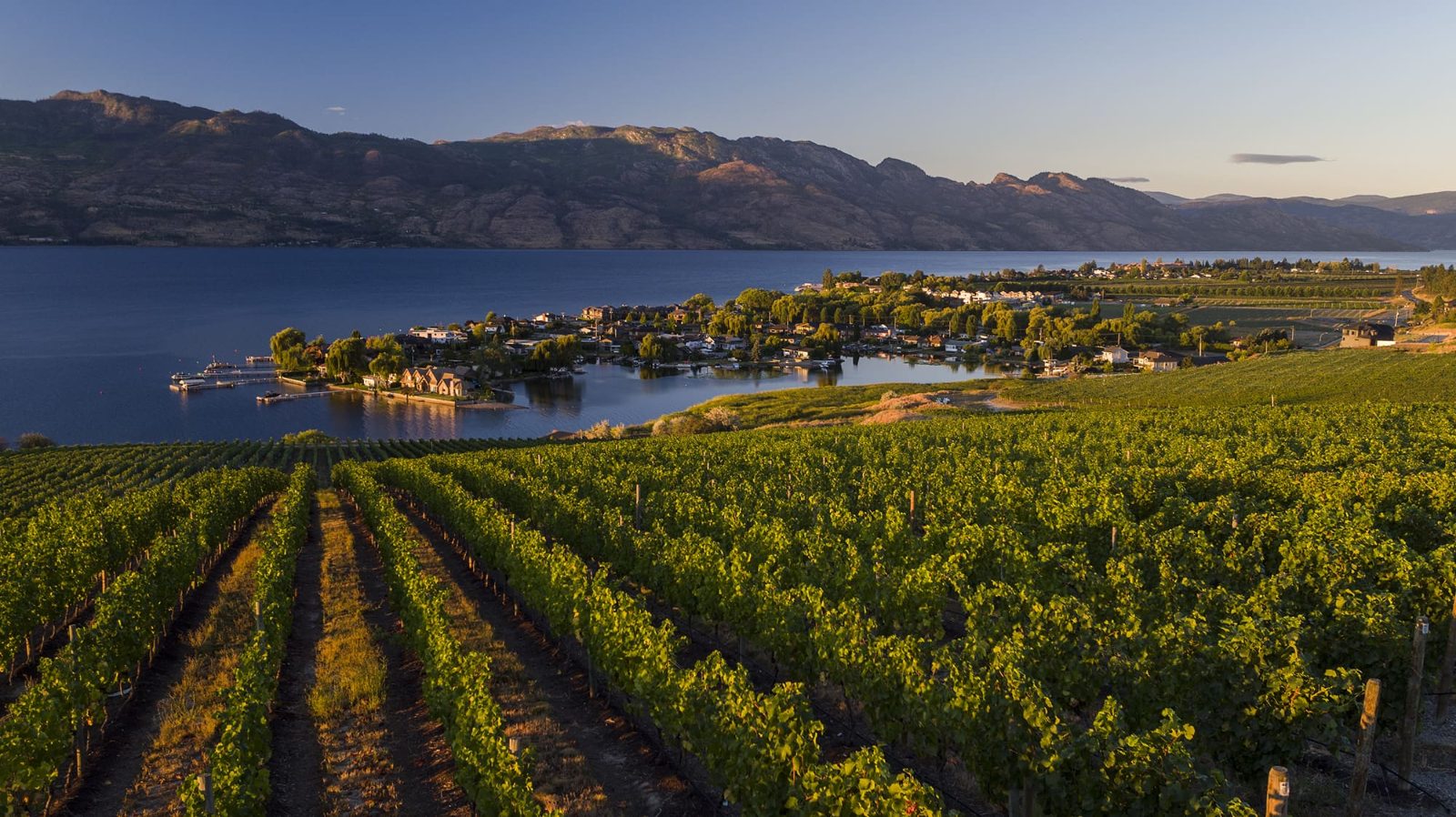 Quails Gate Vineyard
