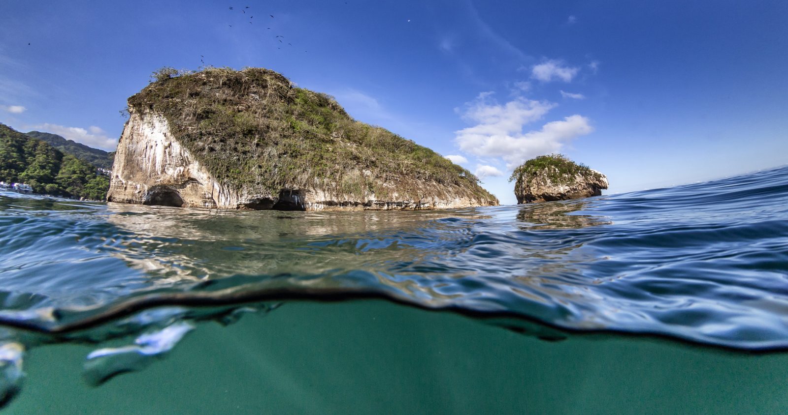 Los Arcos Puerto Vallarta Snorkeling Overview