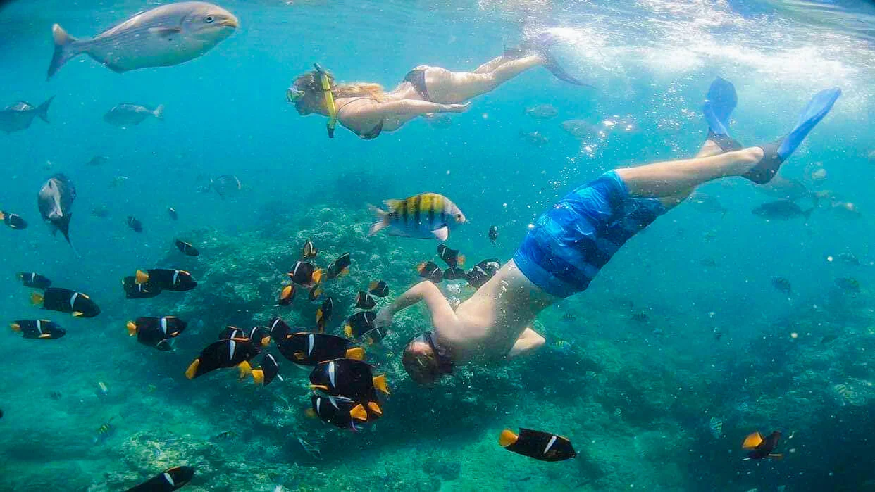 Los Arcos Puerto Vallarta Snorkeling