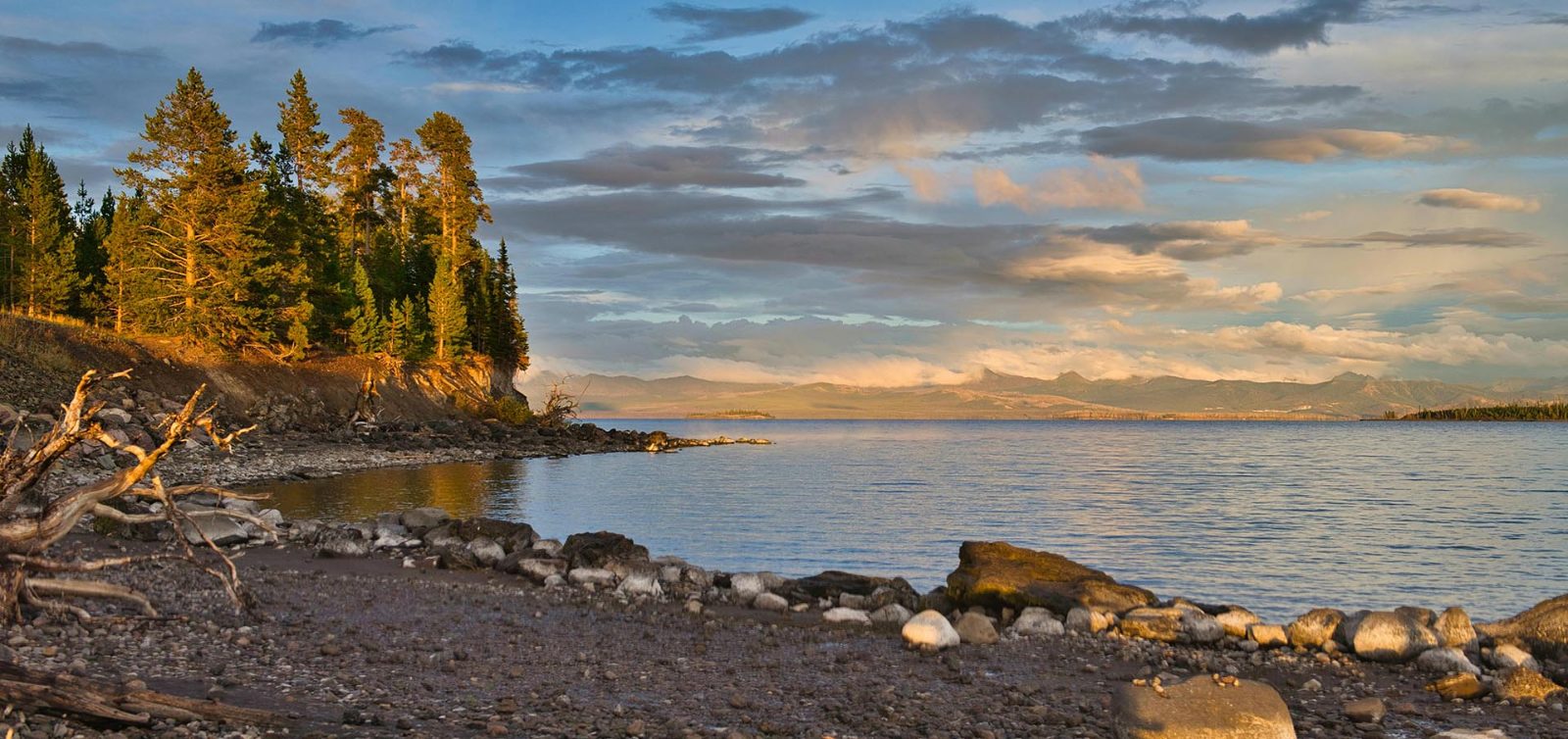 Yellowstone Lake Shoreline