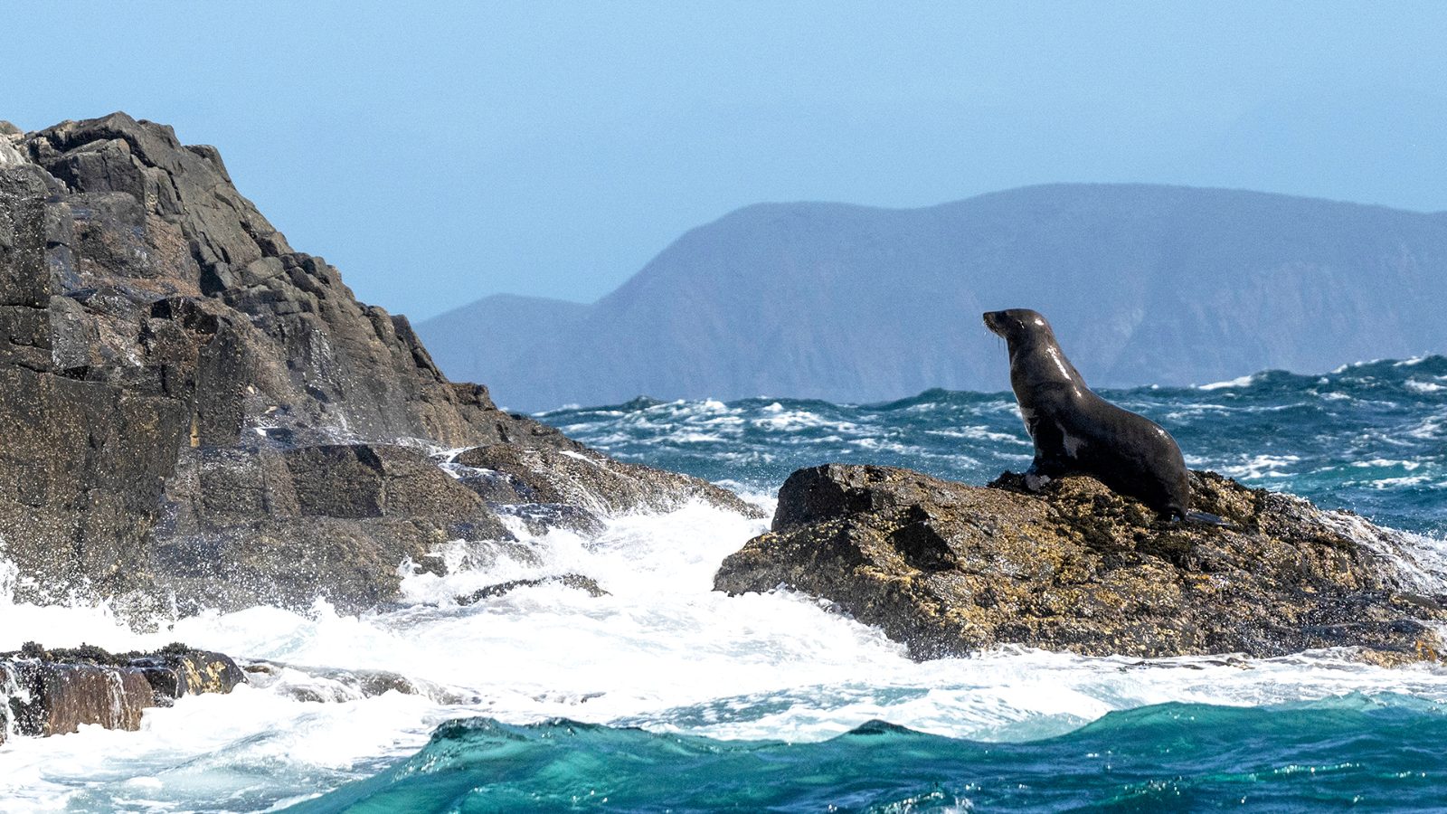 Your experience at Tasmania Cruise