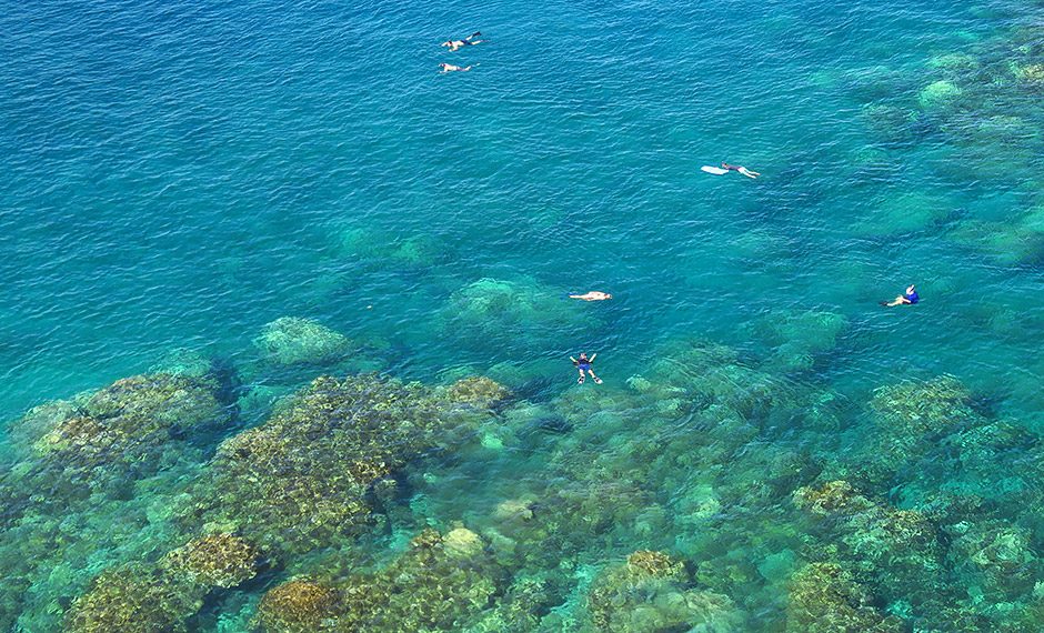 Honolua Bay Snorkeling Tour
