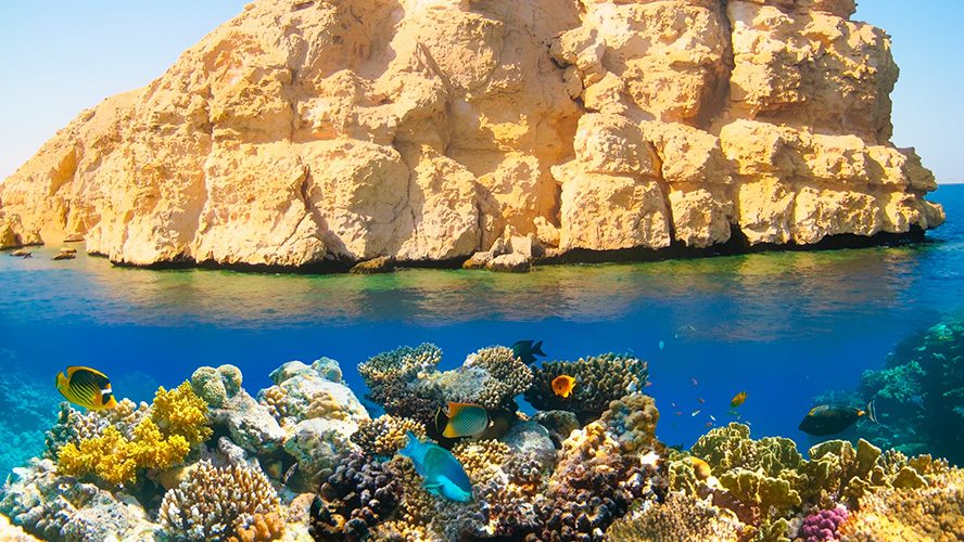 Scuba Diving Sharm El Sheikh Overview