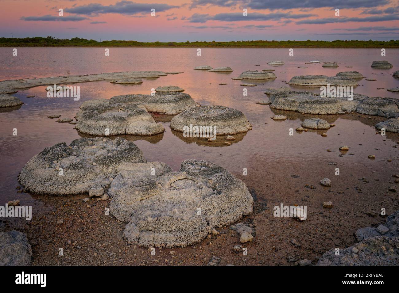 Lake Thetis
