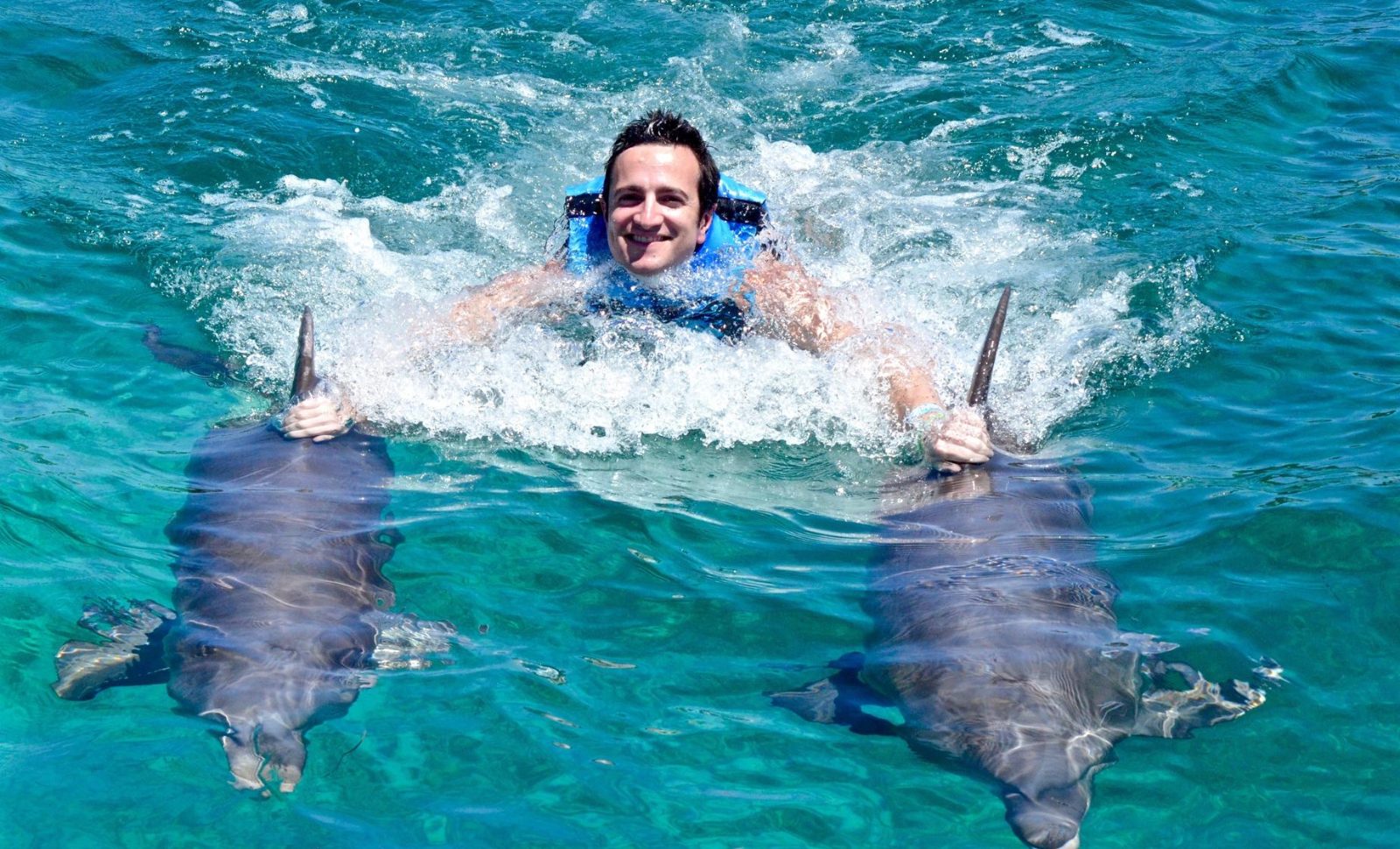 Your experience at Swim With Dolphins Cancun