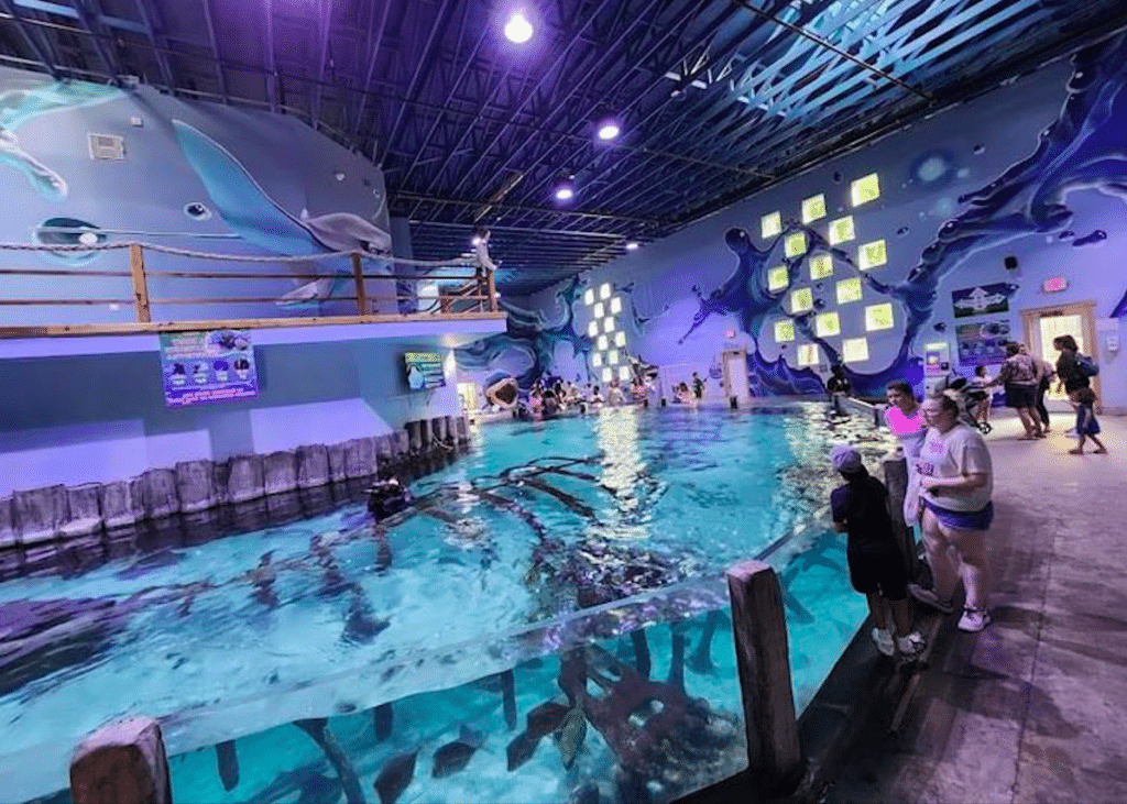 Fish Tanks