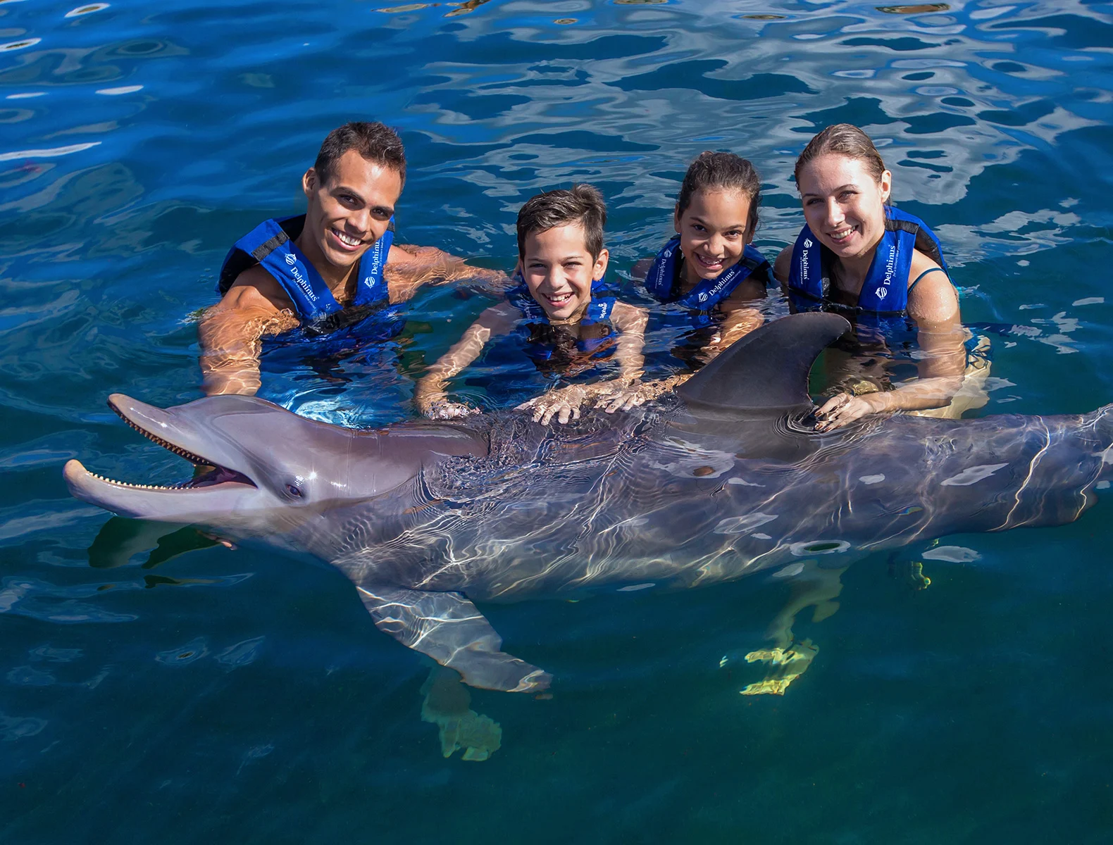 Swim With Dolphins Cancun