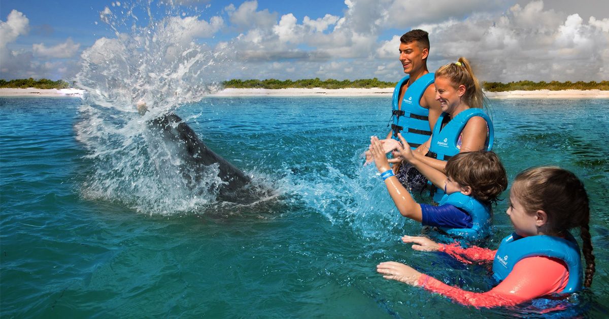 Dolphin Habitat