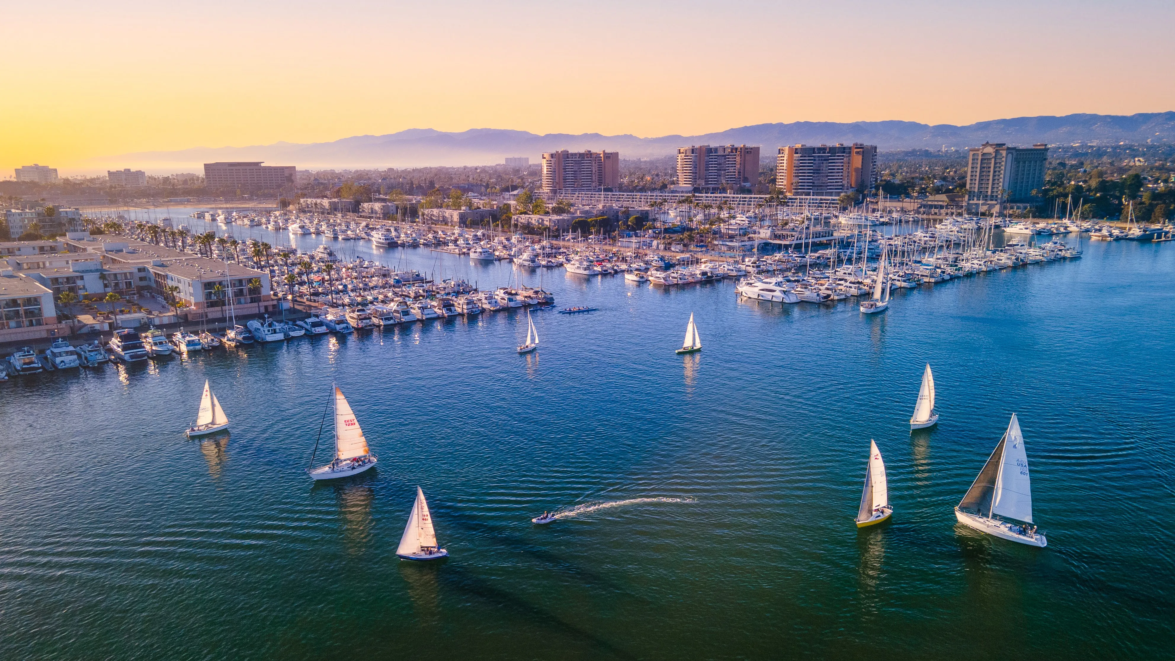 Marina del Rey Sunset Cruise Experience