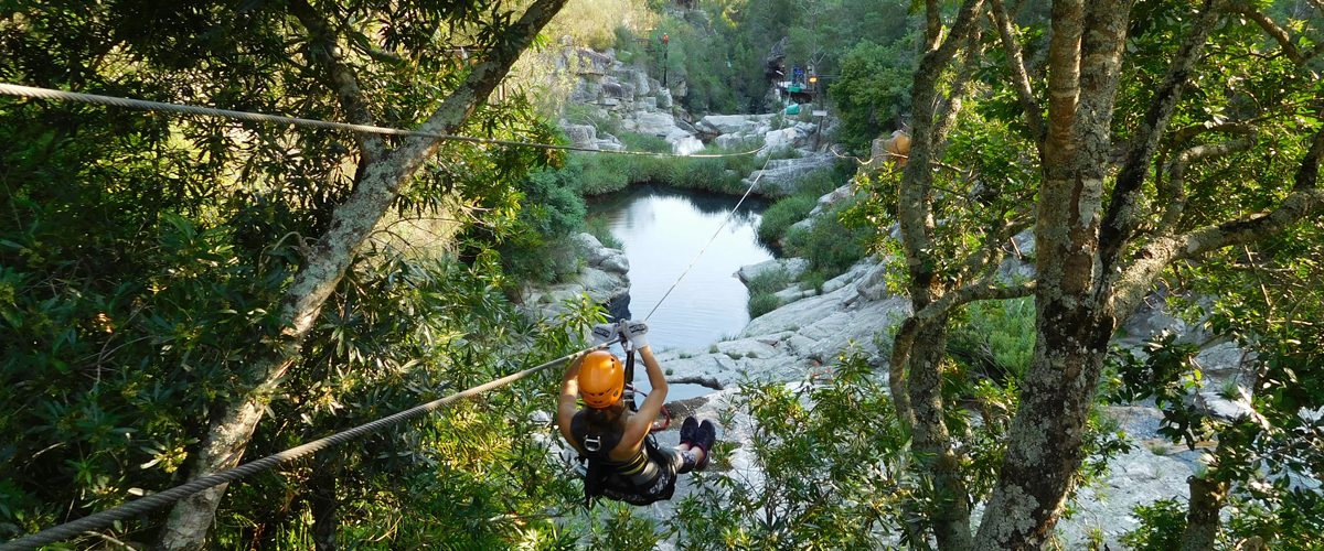 Zipline Tsitsikamma