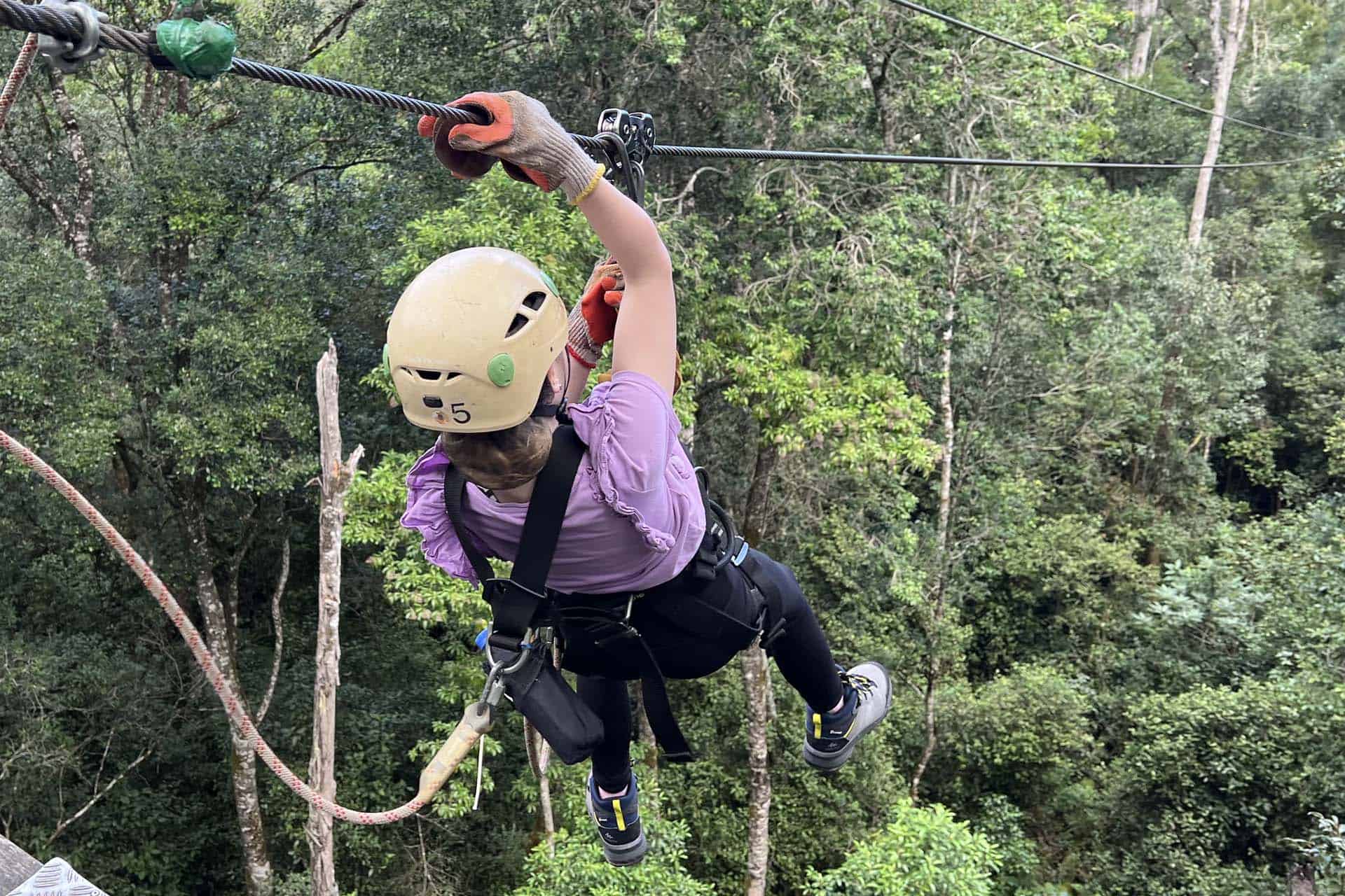 Canopy Zipline