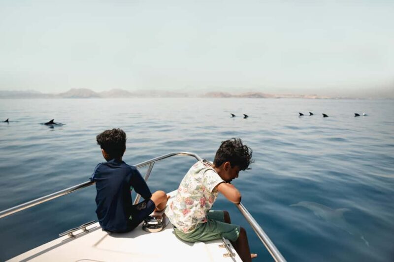 Your experience at Dolphin Watching Muscat