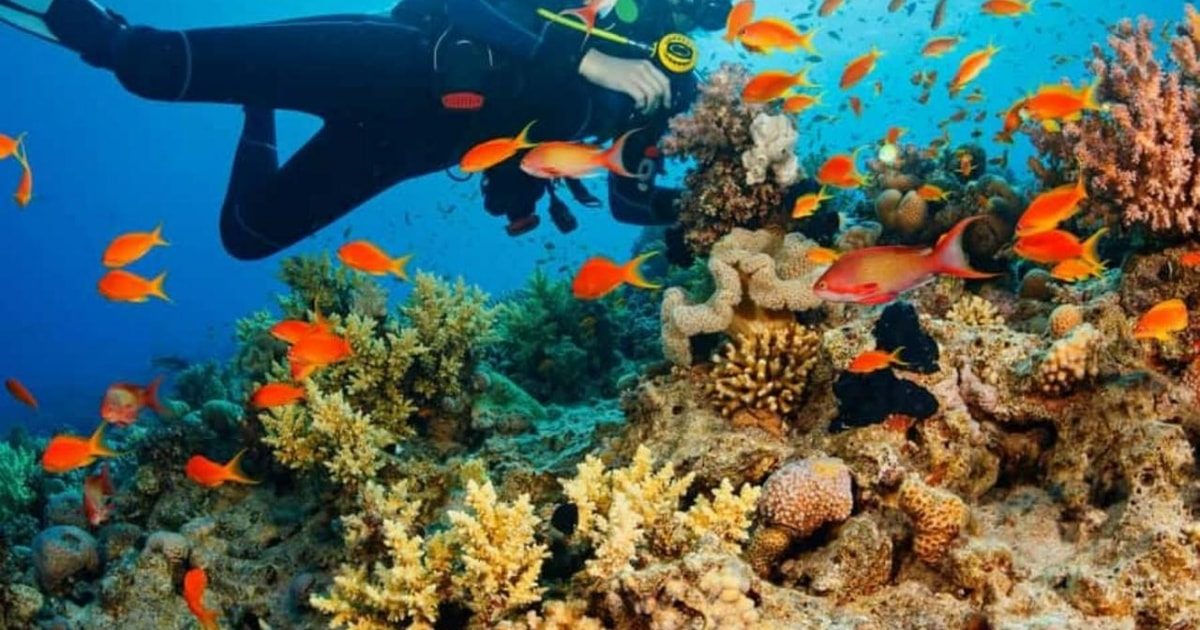 Tumbatu Reefs