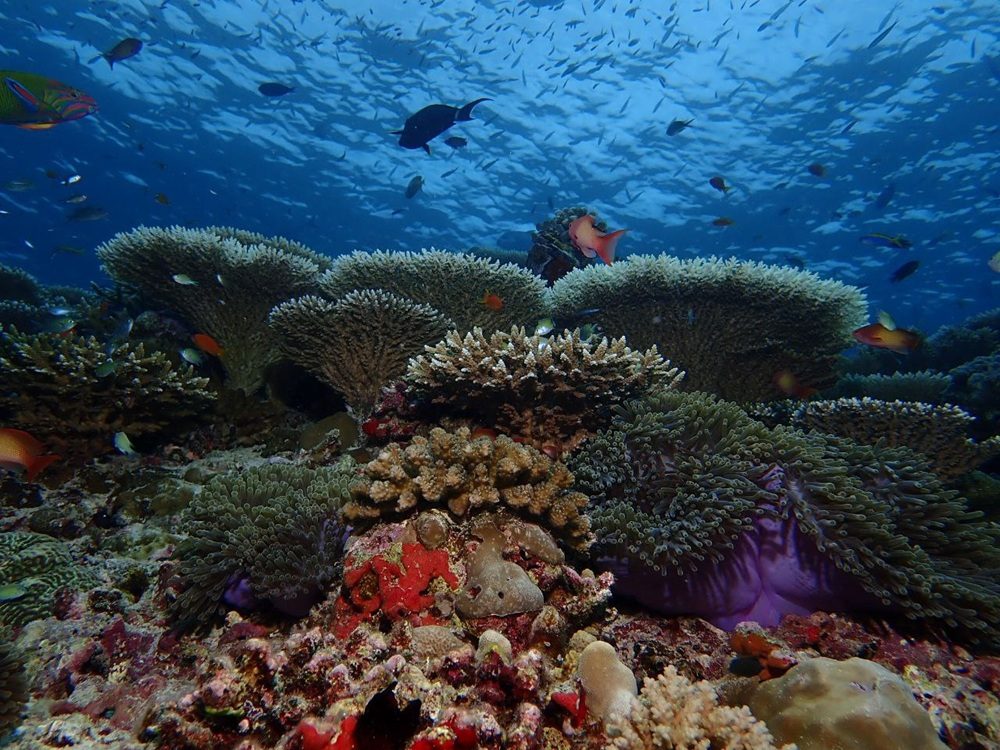 Bawe Reef