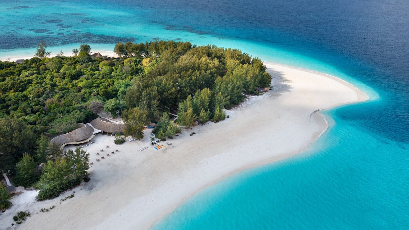 Zanzibar Diving Adventures