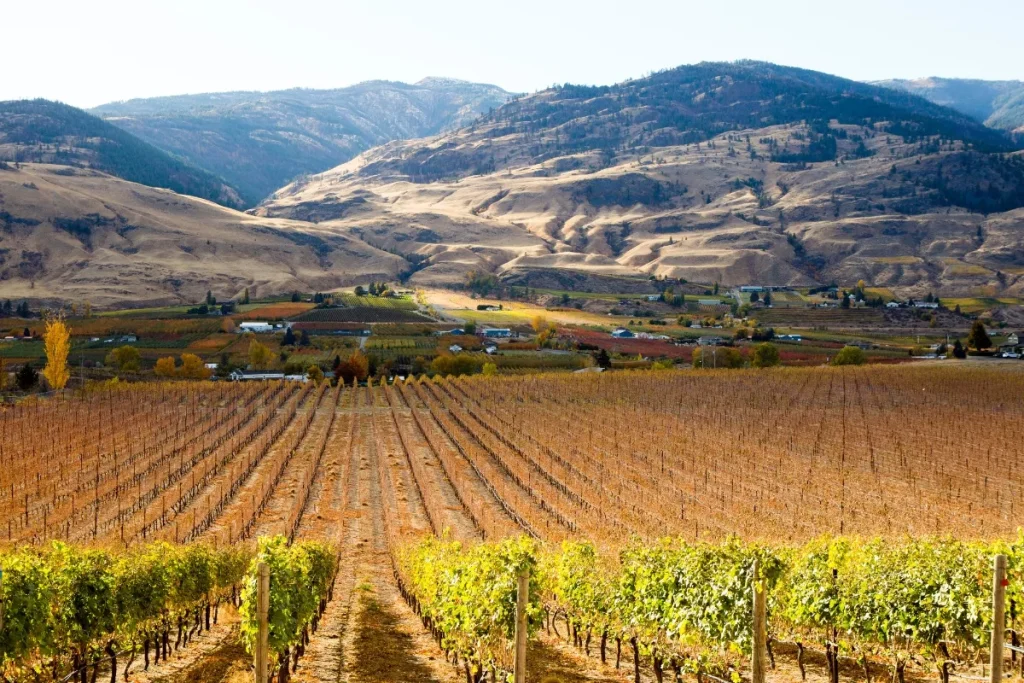 Oliver Wine Tour Through Vineyard Country