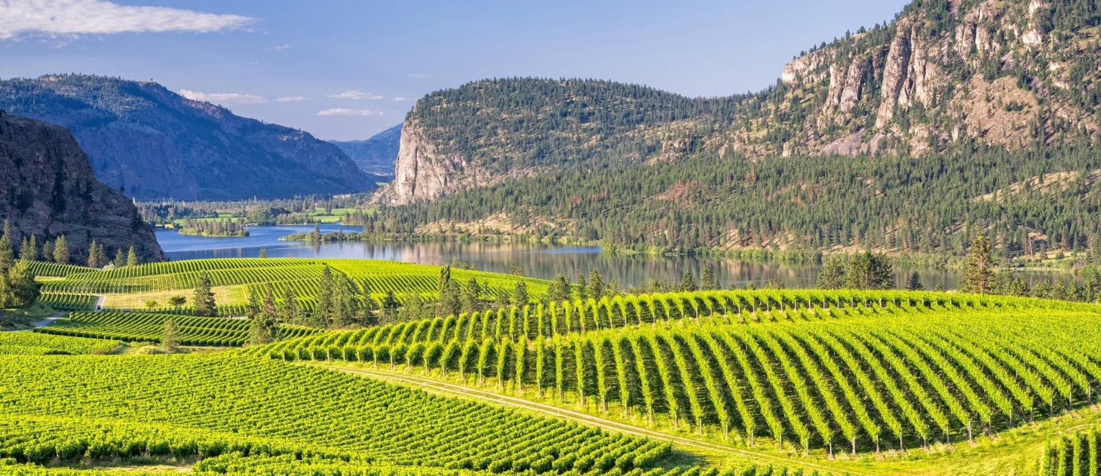 Oliver Wine Tour