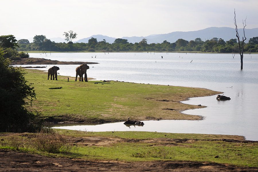 Udawalawe Reservoir