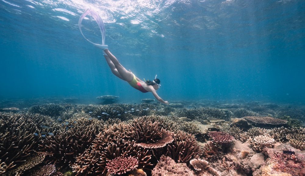 Con Dao Snorkeling