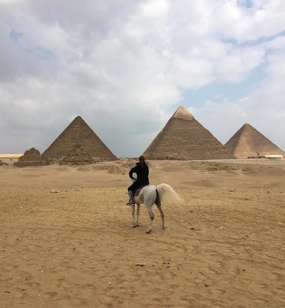 Your experience at Horse Riding Cairo