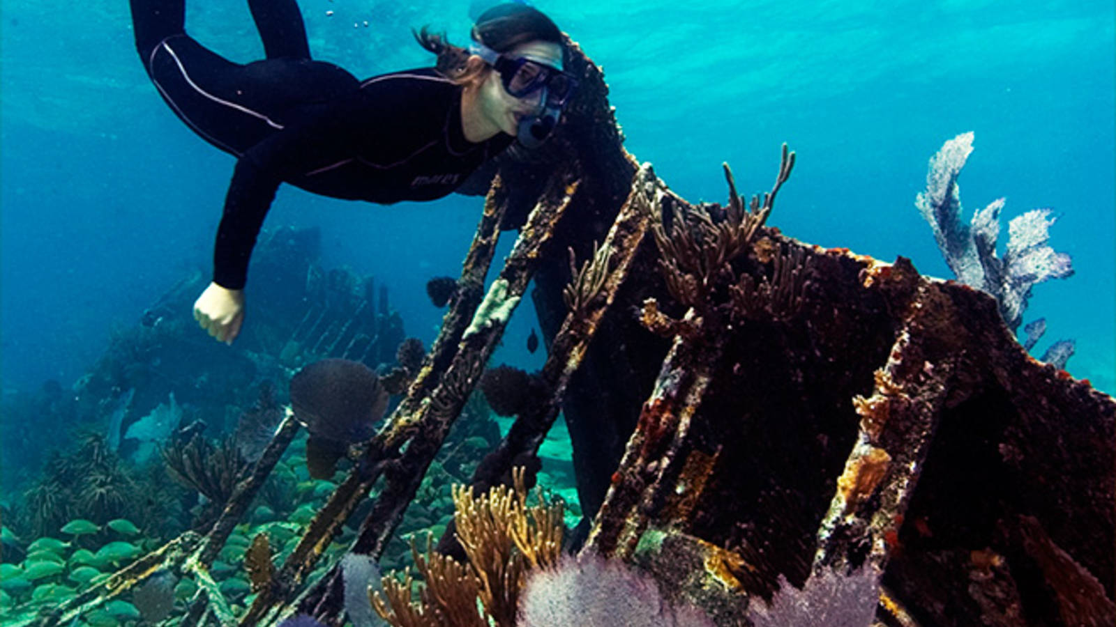 Your experience at Snorkeling in Miami