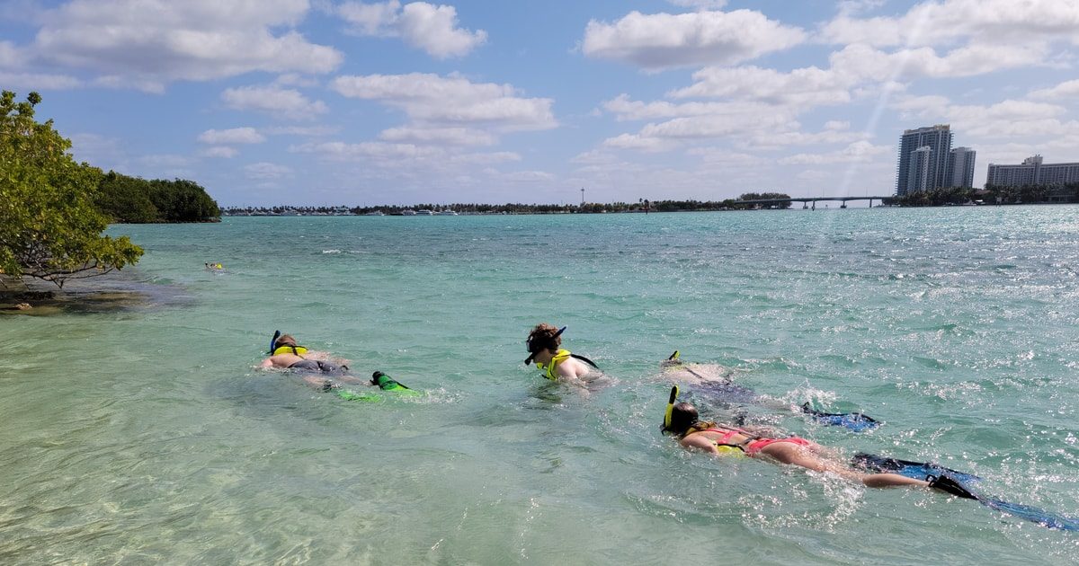 Snorkeling in Miami